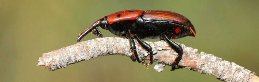 c3bfd24217726d2d1a58348cf8bf76ad-1439465582