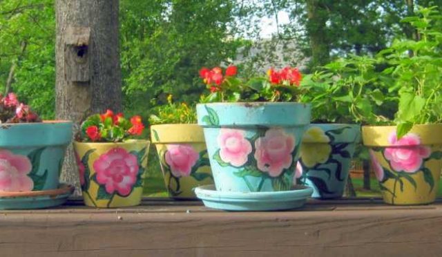 cassie flower pots