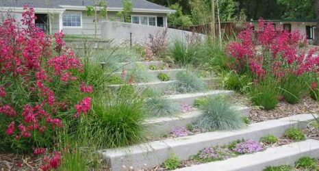 The History and Evolution of Landscape Architecture as a Profession
