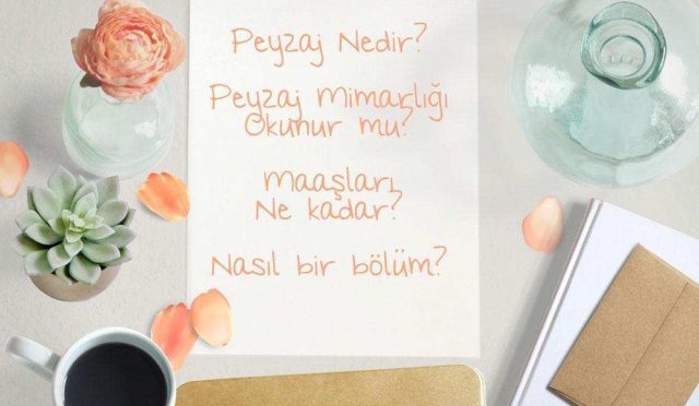 peyzaj-mimarligi-bolumu