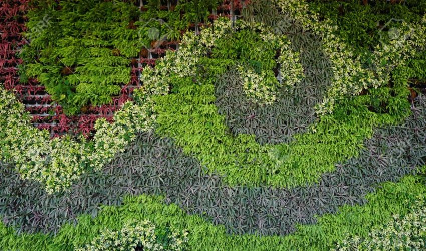Dikey Bahçeler: Yerçekimine Direnen Yeşil Alanlar 65 Variety of plants in vertical garden