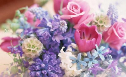 çiçeklerde renk kompozisyonu