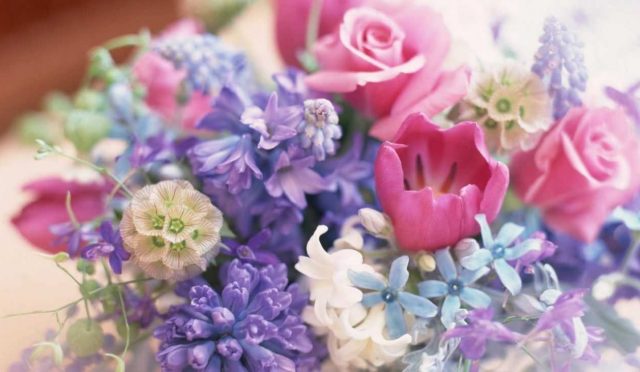 çiçeklerde renk kompozisyonu