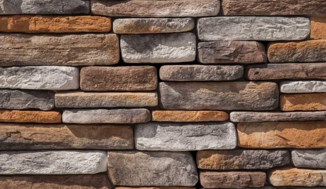 kayraktasidomanic-dt123