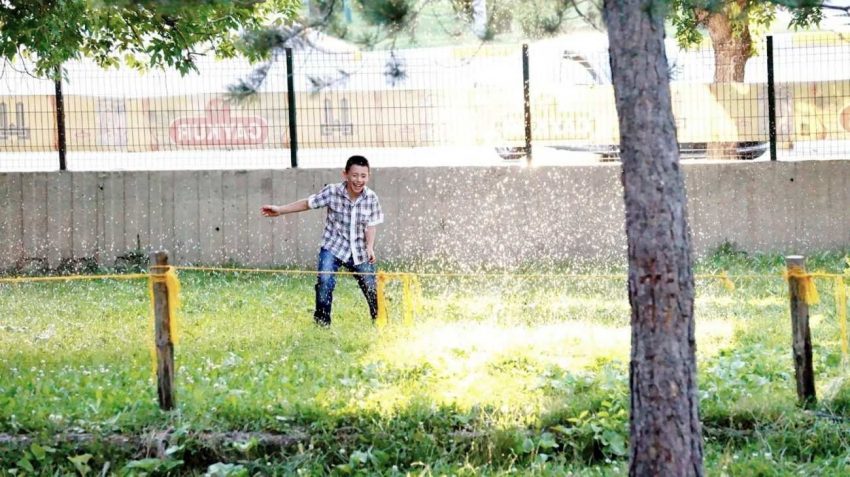 Çim Ekimi Nasıl Yapılır? Çim Alan Tesisi Öncesi Hazırlıklar ve Çim Ekiminin Püf Noktaları 39 Çime kimi nasıl yapılır