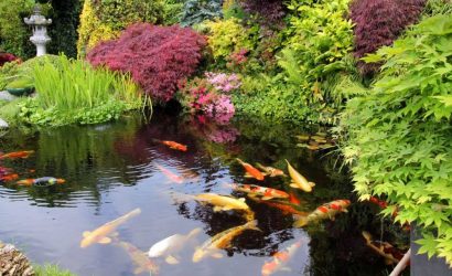 Japanese-Style-Garden-Pond-157913682-56a4a0ca3df78cf7728351b0