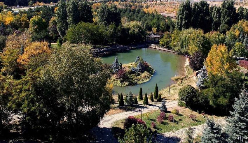 Erzurum'da Yetişebilen Geniş Yapraklı Ağaçlar ve Özellikleri 75 5d944ff6214ed81b48e6abda