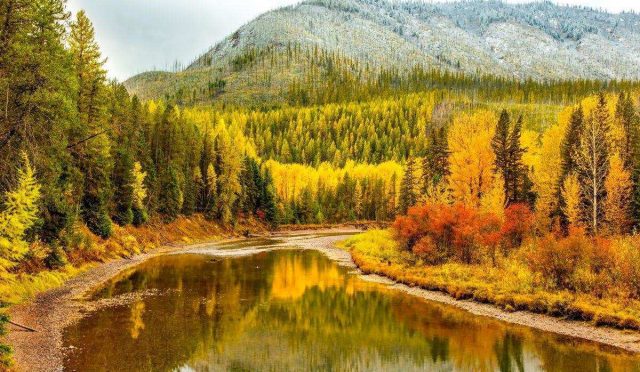 Kapak Görseli - ABD