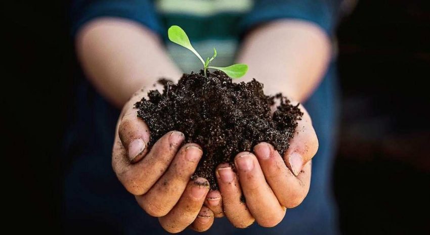 İnsan ve Toprak 11 Why It's Important to Use Good Soil