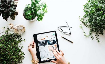 bakim-gerektirmeyen-6-bitki-onerisi