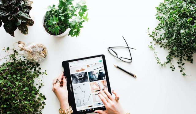 bakim-gerektirmeyen-6-bitki-onerisi