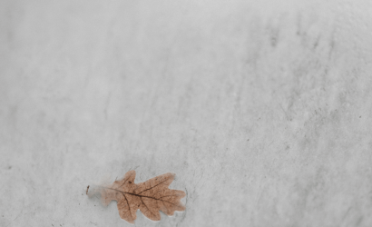 en-yaygin-bahce-zararlilari-ve-cozum-onerileri