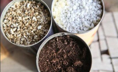 toprak-karisimi-nasil-olmalidir