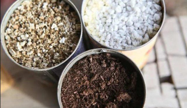 Köklendirme İşlemi için Toprak Karışımı Nasıl Olmalıdır?