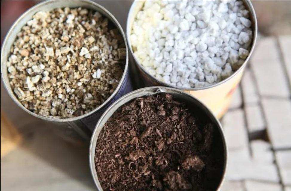 Köklendirme İşlemi için Toprak Karışımı Nasıl Olmalıdır?