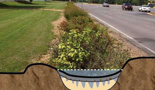 10-39-22-Screen-Shot-2019-11-14-at-6.15.12-PM-copy