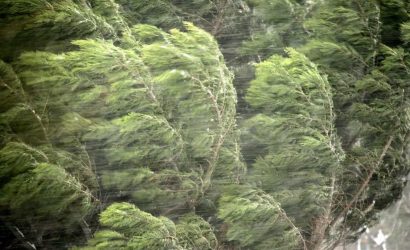 11-33-32-bc590539348d348192715e6f7fa035d1