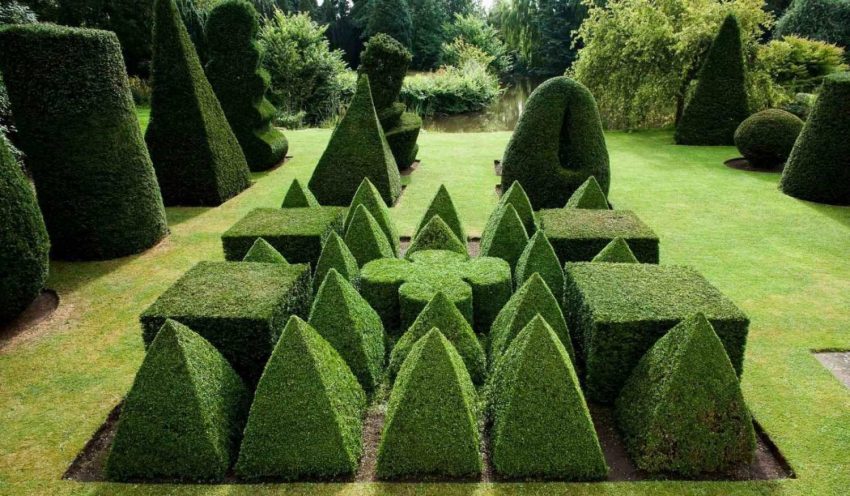 Topiary Sanatı: Budanıp Şekil Vermeye En Uygun Bitkiler 8 7776c0aa78381b2ee5b20ef31143f4551