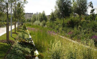 Martin-Luther-King-Park-3