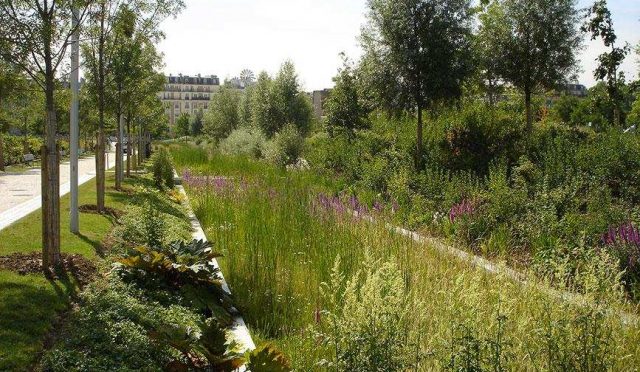 Martin-Luther-King-Park-3