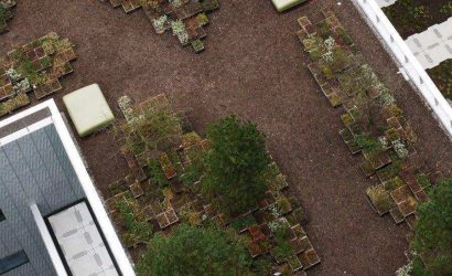 Pixel Park - 1
