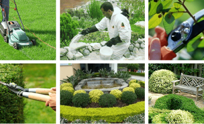 Top 10 Garden Tools Every Gardener Needs: Essential Equipment for a Bountiful Garden 1 bahce-bakim-bodrum-peyzaj-1