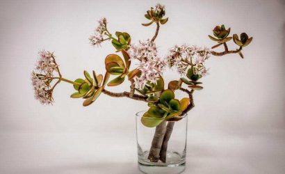 ikebana-japon-cicek-sanati