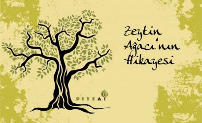 zeytin-agacinin-hikayesi