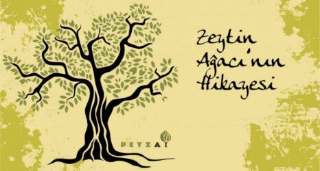 The Mythological Story of the Olive Tree