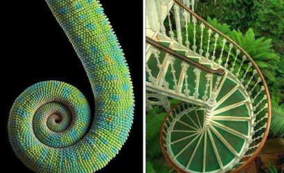 03d323b8-30ee-4212-8bfb-39085381bd66