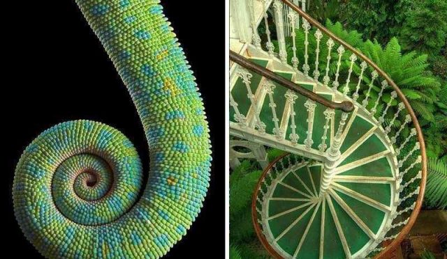 03d323b8-30ee-4212-8bfb-39085381bd66