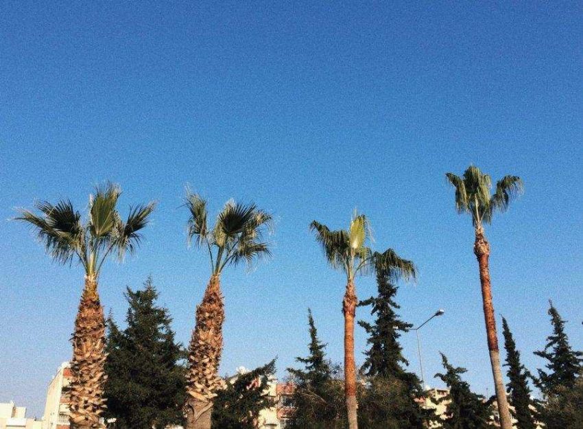 Processed with VSCO with hb2 preset