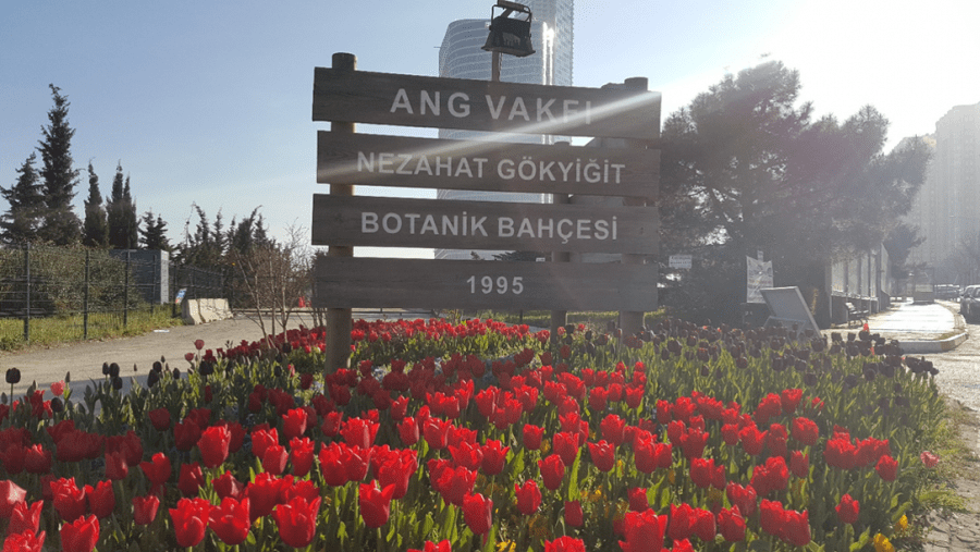Nezahat Gökyiğit Botanik Bahçesi: İstanbul'un Göbeğinde Saklı Bir Cennet