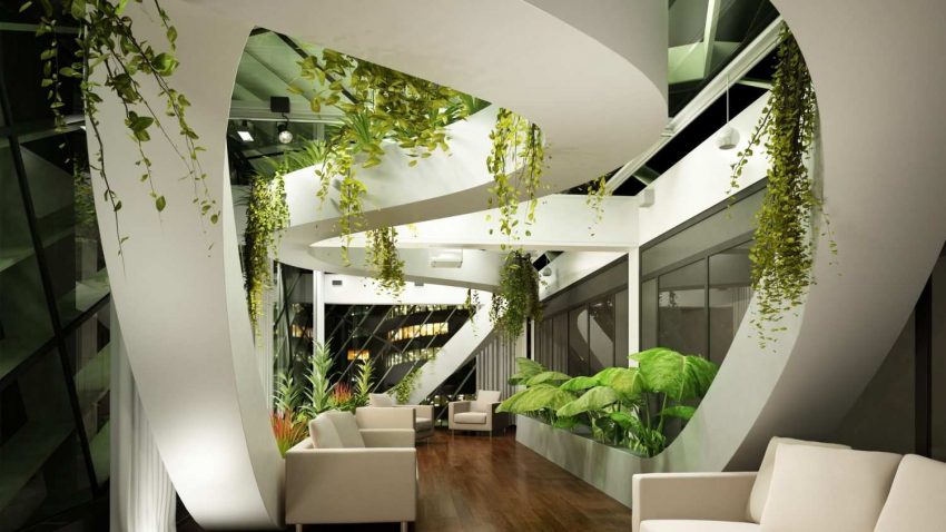 Zararlı Gazları Emerek Havayı Temizleyen 5 Salon Bitkisi 15 6006412-chairs-design-chairs-interior-stylish