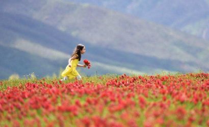 dxsTdWpCzUqyvzEdxXydGQ