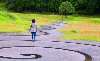 murou-sanat-ormani-kapak