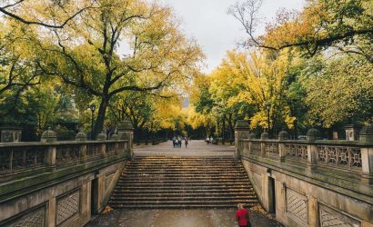 central-park-sonbahar-kapak