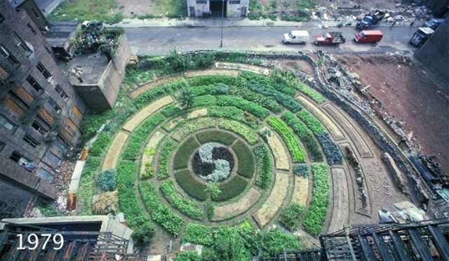 İklim Değişikliği Gelecek Nesillerimizin Hak ve Özgürlüklerini Tehdit Ediyor!