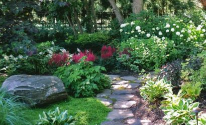 golge-alanda-yetisen-bitkiler