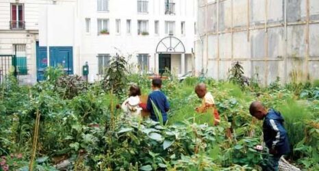 Kentsel Tarımın Ortaya Çıkışı ve Kentsel Tarım Tipolojileri