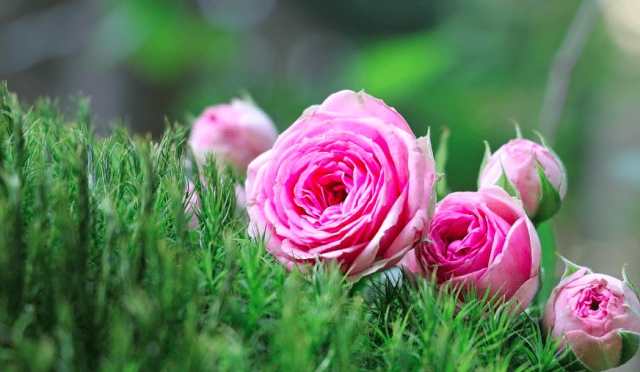 Bildschirmfoto-2017-07-10-um-09.27.20