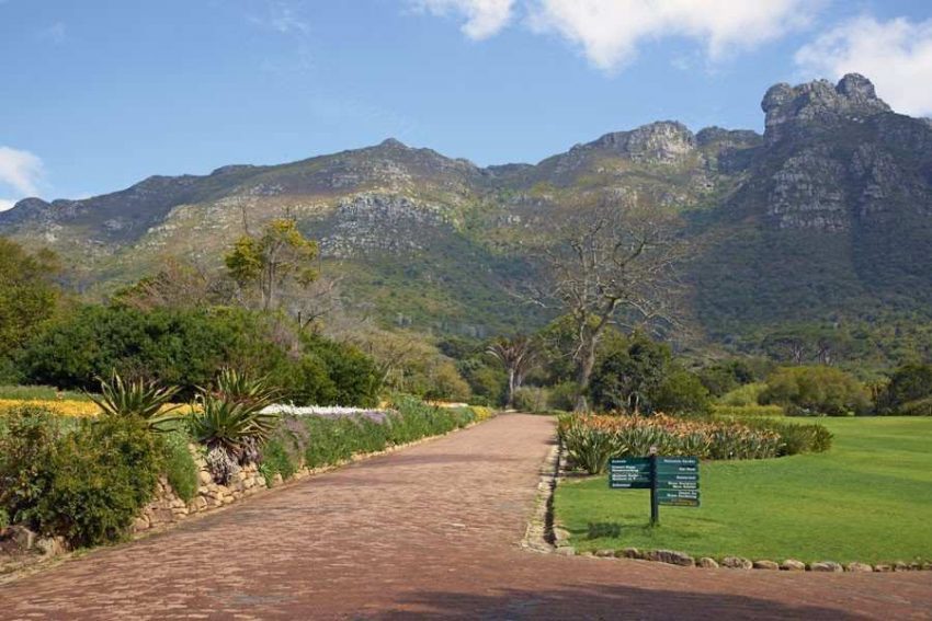 Kirstenbosch