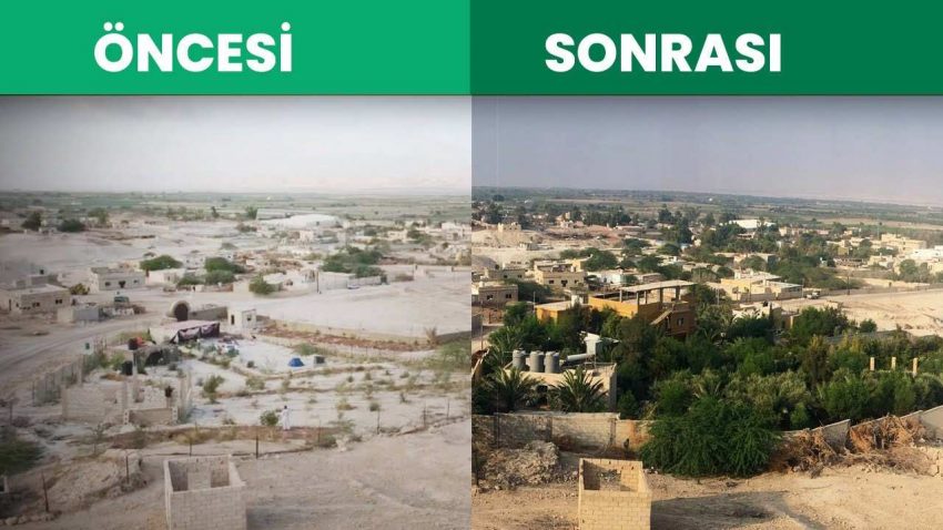 Su Kullanım Verimliliği Üzerine: Ürdün Permakültür Projesi 21 urdun-permakultur-projesi