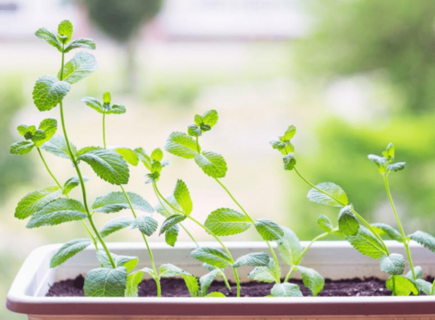 Ekran görüntüsü 2020-12-15 221022