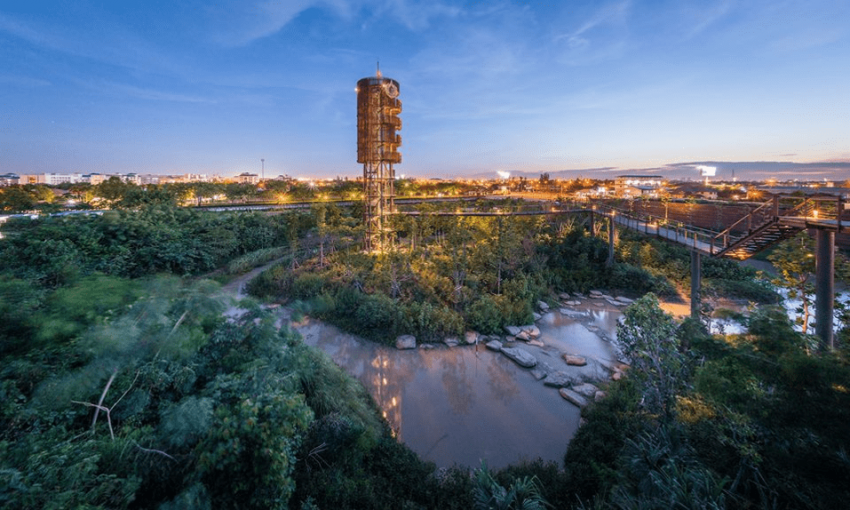 Metro Forest: Başarılı Arazi Rehabilitasyon Projesi 47 Resim12