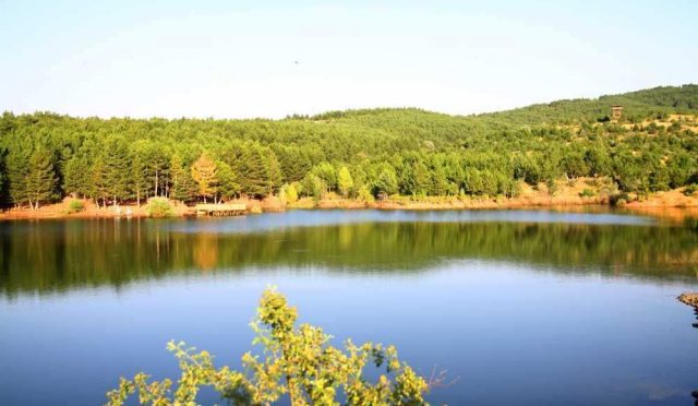 İlk Milli Parkımız Yozgat Çamlığı Milli Parkı