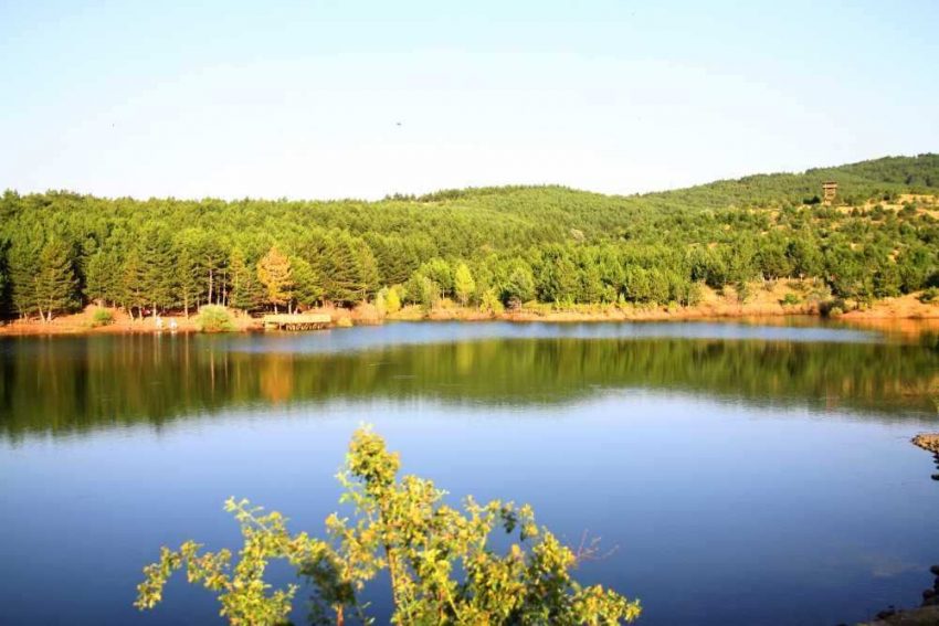 Yozgat Çamlığı Milli Parkı: Türkiye'nin İlk Milli Parkı 67 İlk Milli Parkımız Yozgat Çamlığı Milli Parkı