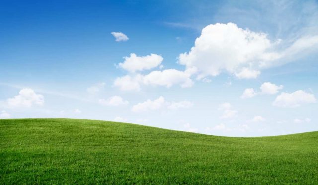 Su Sorunu Varken Neden Çim Kullanımına Devam Ediliyor?