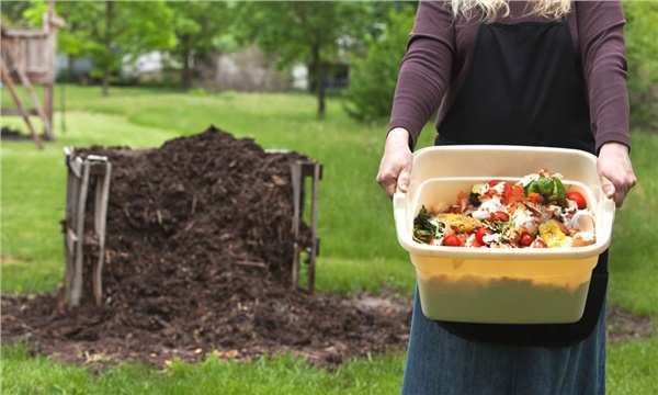 Toprağın Şifası: Kompost Nedir ve Nasıl Yapılır?