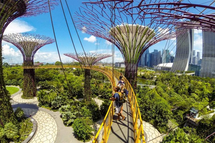 GARDENS BY THE BAY: Singapur’un Çılgın Projesi 9 akıllı kentler - akıllı şehirler